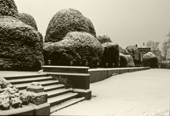 Luís Barreira Snow in York, 1987 Fotografia arquivo: SLIDE_2533, 1987