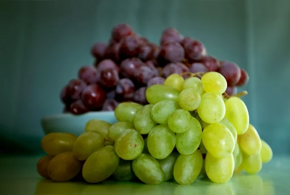 Luís Barreira grapes, 2018 série: Still Life Fotografia arquivo: 2018_09_22_DSCF9701