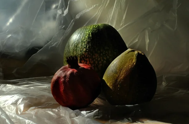 Luís Barreira Natureza-Morta, 2018 série: Still Life Fotografia arquivo: 2018_10_24_DSCF0124