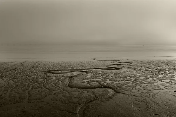 Luís Barreira Linha do Horizonte, 2018 Parque das Nações, Lisboa série: Landscapes Fotografia arquivo: 2018_11_12_DSCF0303