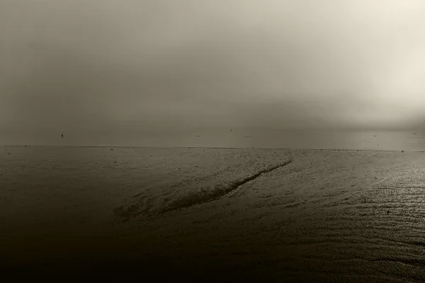 Luís Barreira horizonte riscado, 2018 Parque das Nações, Lisboa série: Landscapes Fotografia arquivo: 2018_11_12_DSCF0261
