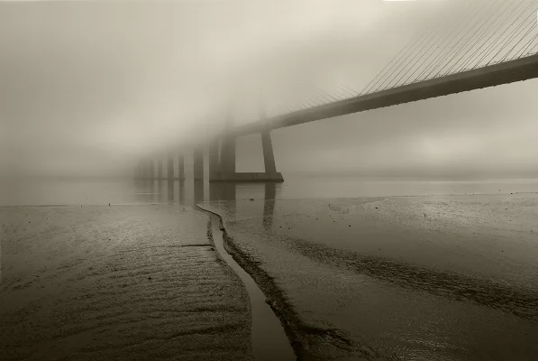 Luís Barreira Ponte Vasco da Gama, 2018 Parque das Nações, Lisboa série: no parque Fotografia arquivo: 2018_11_12_DSCF0265