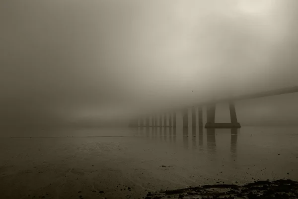 Luís Barreira Ponte Vasco da Gama, 2018 Lisboa série: no parque Fotografia arquivo: 2018_11_12_DSCF0255