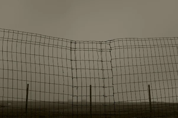 Luís Barreira Grid line, 2018 Lisboa série: Fotografia arquivo: 2018_11_12_DSCF0250