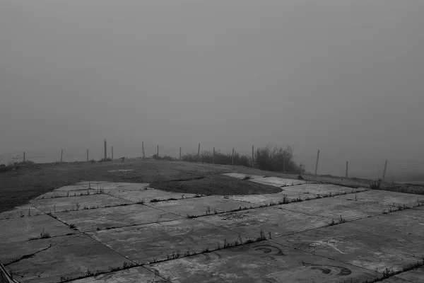 Luís Barreira formas na paisagem, 2018 Lisboa série: no parque Fotografia arquivo: 2018_11_27_DSCF0472