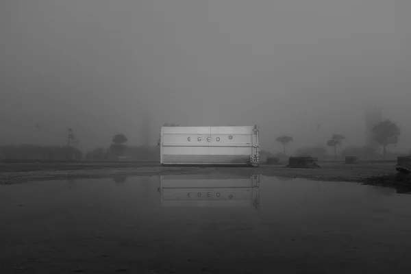 Luís Barreira Parque das Nações, 2018 série: no parque Fotografia arquivo: 2018_11_30_DSCF0748