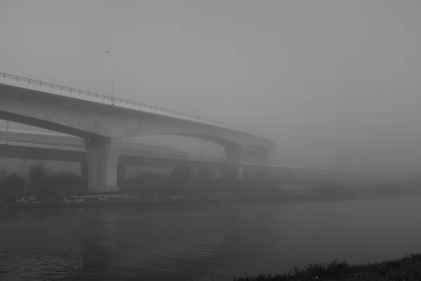 Luís Barreira paisagem - viadutos, 2018 série: no parque Fotografia arquivo: 2018_11_30_DSCF0771