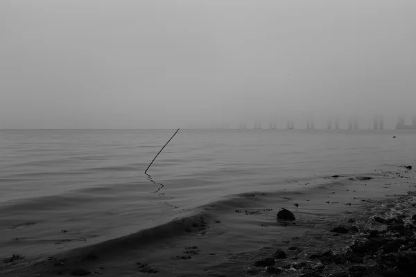 Luís Barreira “paisagem rasgada” Lisboa, 2018 série: no parque Fotografia arquivo: 2018_12_02_DSCF0895