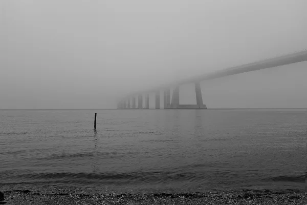Luís Barreira Ponte Vasco da Gama (02.12.2018) série: no parque Fotografia arquivo: 2018_12_02_DSCF0915