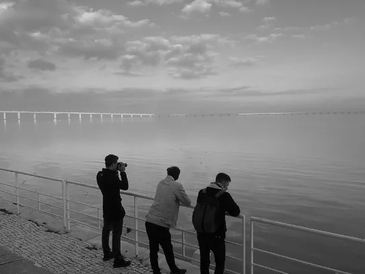 Luís Barreira Ponte Vasco da Gama, 2018 série: no parque Fotografia arquivo: 2018_12_02_IMG_5074