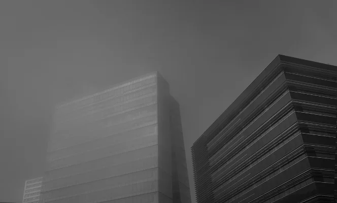 Luís Barreira arranha-céus, 2018 Lisboa série: no parque Fotografia arquivo: 2018_12_05_DSCF1093