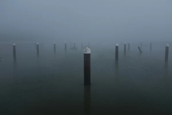 Luís Barreira Docas, 2018 Lisboa série: no parque Fotografia arquivo: 2018_12_05_DSCF1039