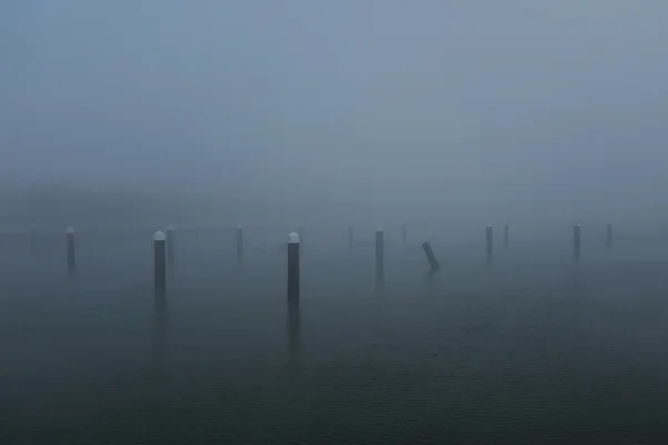 Luís Barreira Docas - Parque das Nações, 2018 Lisboa série: no parque Fotografia arquivo: 2018_12_05_DSCF1038