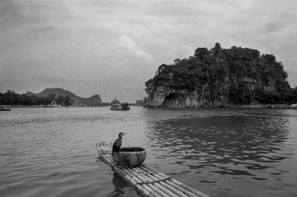 Rio Li