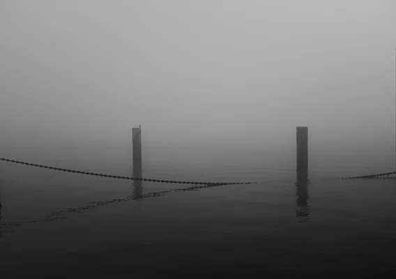 Luís Barreirac o r r e n t e s - 1 8Parque das Nações, Lisboasérie: no parqueFotografiaarquivo: 2018_12_05_DSCF1074