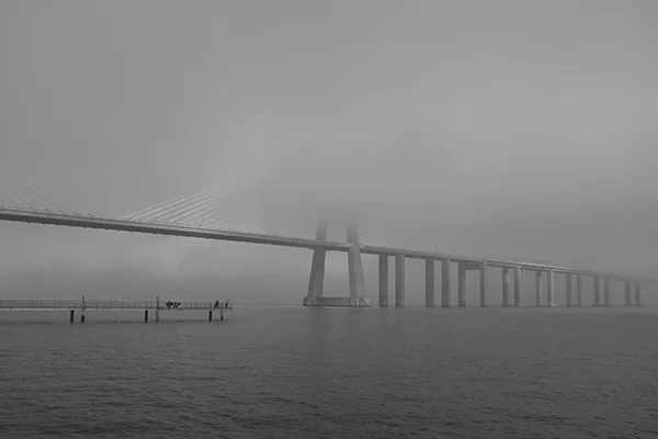 Luís Barreira Ponte Vasco da Gama, 2019 série: no parque Fotografia arquivo: 2019_01_03_DSCF1547