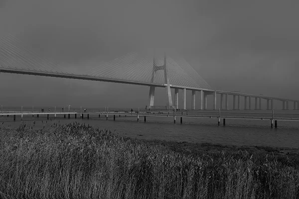 Luís Barreira Ponte Vasco da Gama, 2019 série: no parque Fotografia arquivo: 2019_01_03_DSCF1518