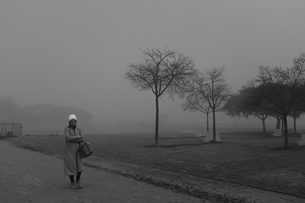 Luís Barreira Inverno no parque, 2019 série: no parque Fotografia arquivo: 2019_01_03_DSCF1498