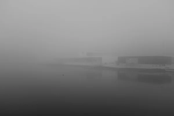 Luís Barreira Doca (Parque das Nações), 2019 série: no parque Fotografia arquivo: 2019_01_03_DSCF1460
