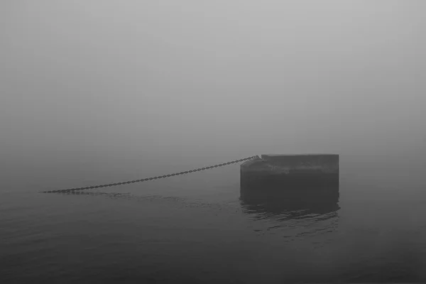 Luís Barreira “correntes”, 2019 série: no parque Fotografia arquivo: 2019_01_02_DSCF1449