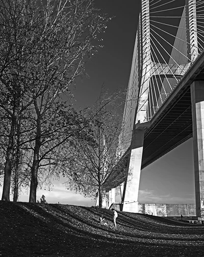 Luís Barreira Ponte Vasco da Gama, 2019 série: no parque Fotografia arquivo: 2019_01_01_DSCF1397