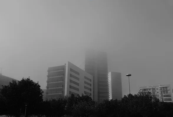 Luís Barreira Parque das Nações, 2018 série: no parque Fotografia arquivo: 2018_12_05_DSCF1094