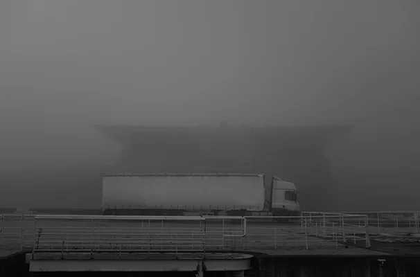 Luís Barreira Oceanário de Lisboa, 2018 série: no parque Fotografia arquivo: 2018_12_05_DSCF1024