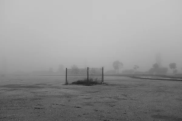 Luís Barreira cerca, 2018 série: no parque Fotografia arquivo: 2018_11_30_DSCF0746