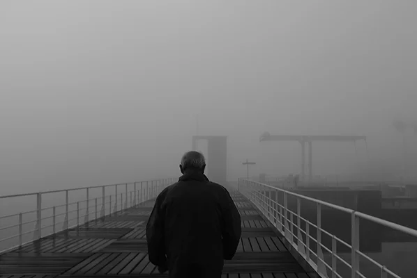 Luís Barreira manhã de nevoeiro, 2018 série: no parque Fotografia arquivo: 2018_12_05_DSCF1022