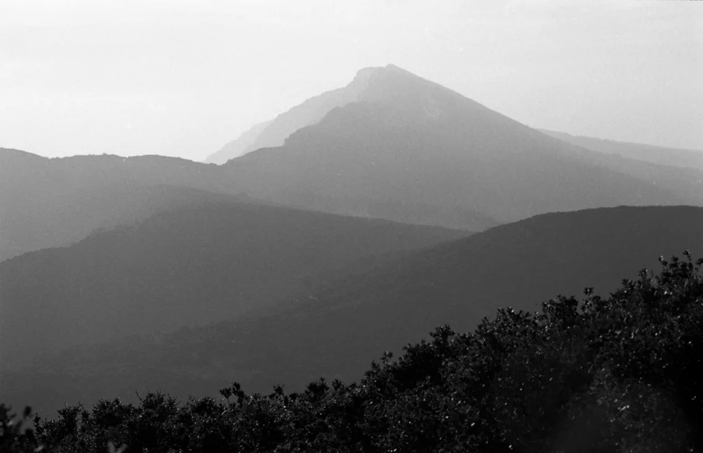 Vale do Risco