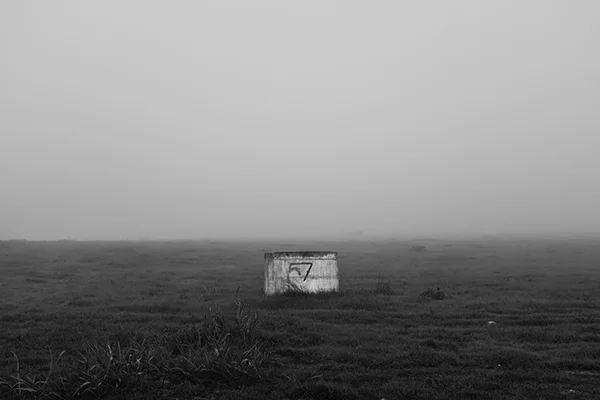 Luís Barreira 57, 2019 série: no parque Fotografia arquivo: 2019_01_15_DSCF1618