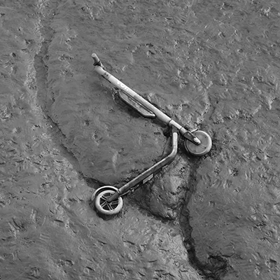 Luís Barreira trotineta, 2019 série: no parque Fotografia arquivo: 2019_02_10_IMG_0545