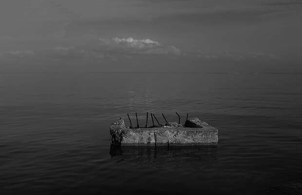 Rio Tejo, 2019