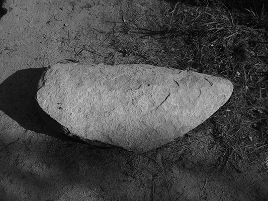 Luís Barreira calhau, 2019 série: ars natura Fotografia arquivo: 2019_02_24_IMG_0561