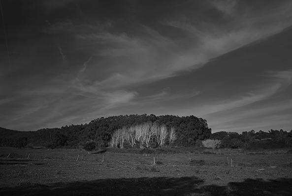 Luís Barreira Quinta do Pisão, 2019 série: Fotografia arquivo:2019_02_24_IMG_0594