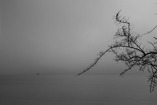 Luís Barreira Boat on the Tagus river, 2019 série: no parque Fotografia arquivo: 2019_03_03_DSCF2076