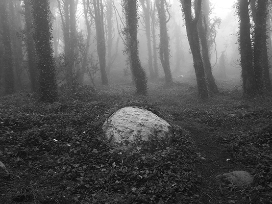 Luís Barreira Serra de Sintra, 2019 série: Fotografia arquivo: 2019_03_05_IMG_0609