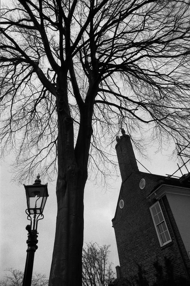 York
