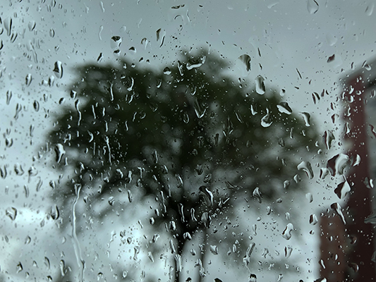 Luís Barreira Olivais, 2019 série: Fotografia arquiva: 2019_04_08_IMG_6130