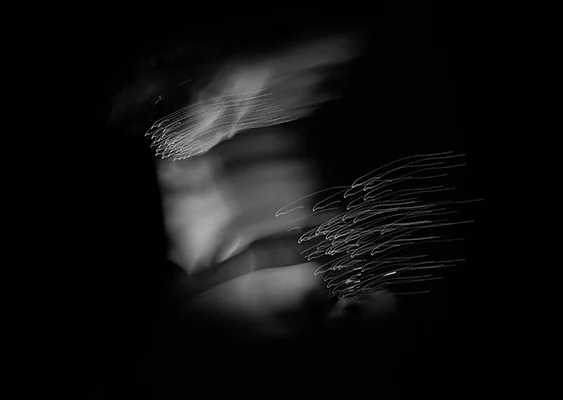 Luís Barreira Retrato de Teresa Fatério, 2018 série: portraits Fotografia arquivo: 2018_12_11_DSCF1268