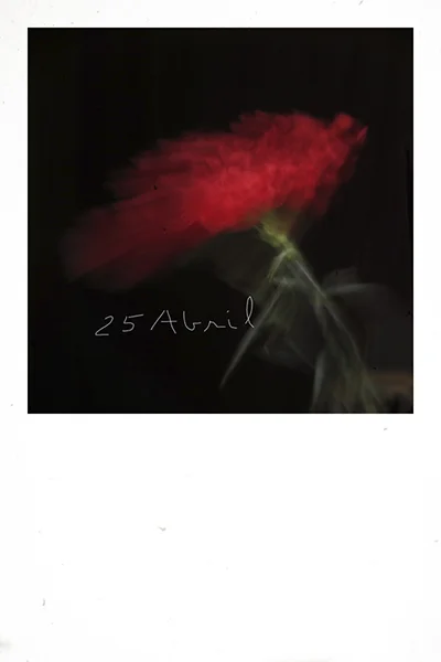 25 abril