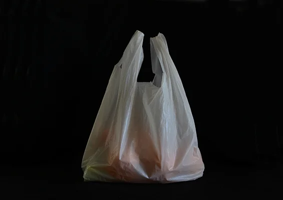 Luís Barreira Laranjas e Limões, 2019 série Still Life Fotografia arquivo: 2019_06_17_NK2_5042