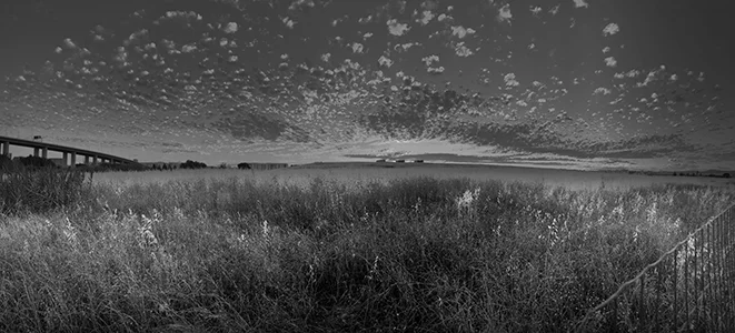 Luís Barreira paisagem, 2019 série: no parque Fotografia arquivo: 2019_06_17_IMG_6730