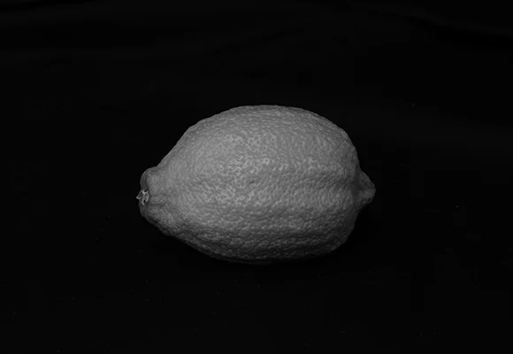 Luís Barreira citron, 2019 série: Fotografia arquivo: 2019_06_03_NK2_4979