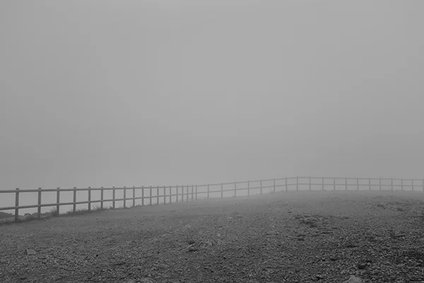 Luís Barreira fence, 2019 série: Fotografia arquivo: 2019_06_23_DSCF3019 câmara: Fujifilm X 100F