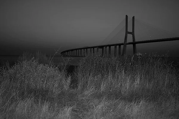 Luís Carvalho Barreira Ponte Vasco da Gama, 2019 série: no parque Fotografia arquivo: 2019_07_21_DSCF3190 câmara: Fujifilm X 100F