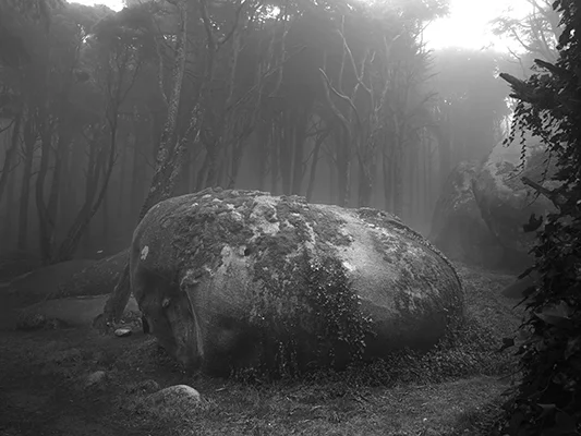 Luís Carvalho Barreira Sintra, 2019 série: Redutos Fotografia arquivo: 2019_03_05_IMG_0613 câmara: Canon G1X