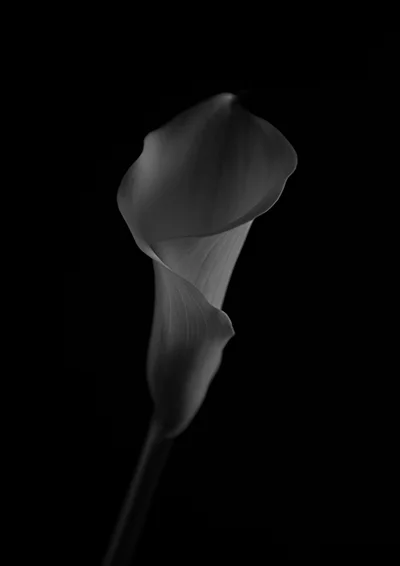 2019_04_30_NK2_3546