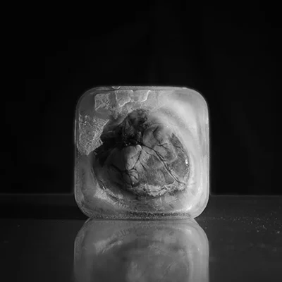 2018_12_26_NK2_2042