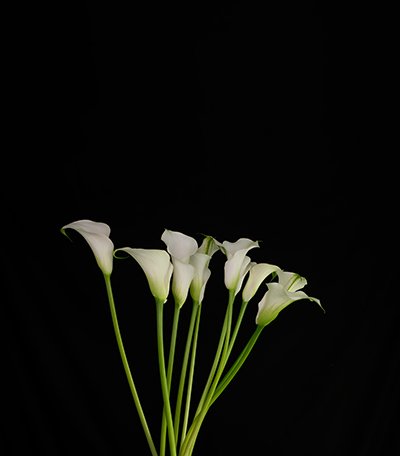 2019_04_30_DSCF2738
